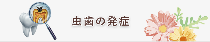 虫歯の発症